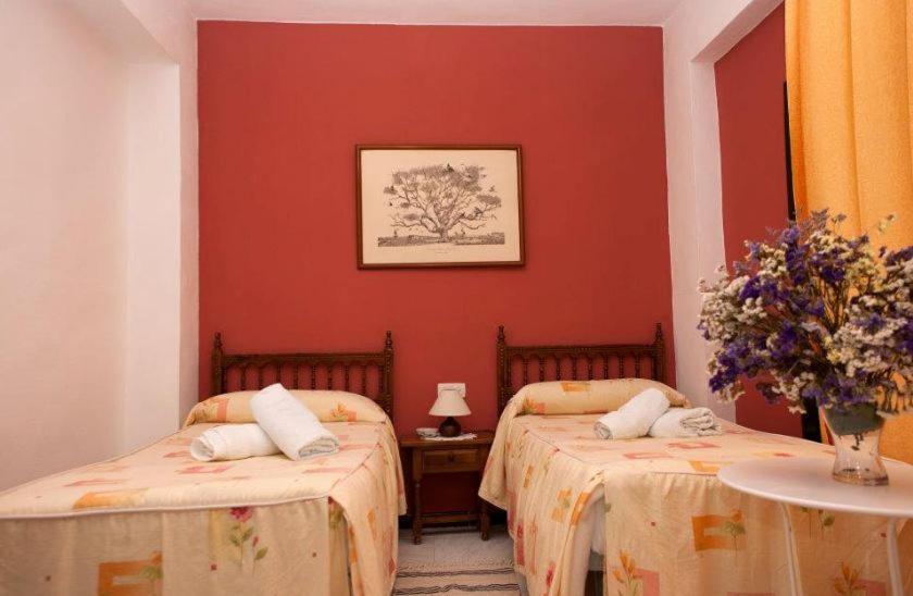 Pension Cristina エル・ロシオ 部屋 写真